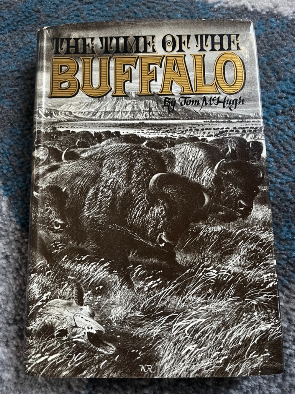The Time of the Buffalo Hardcover Book - Gold & Black Cover